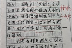 篮球训练作文怎么写400字